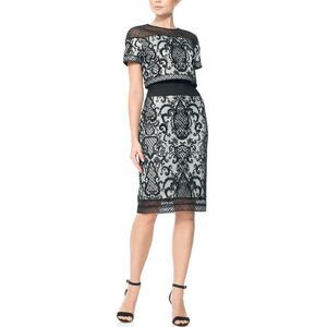 Tadashi Shoji Embroidered Tulle Crop Top Dress, Black and Ivory, Size 4